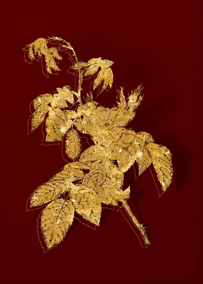 Gold Flora on Red