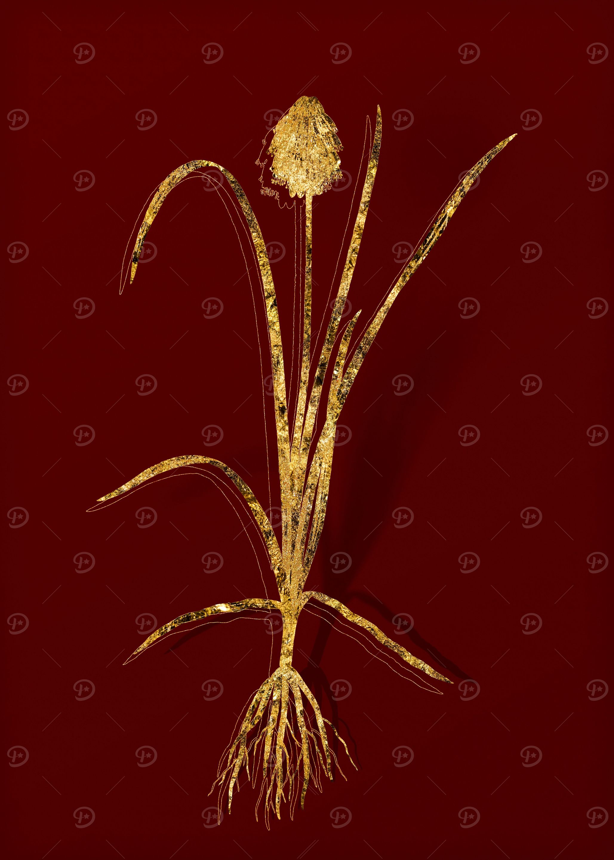 Gold Botanical on Red