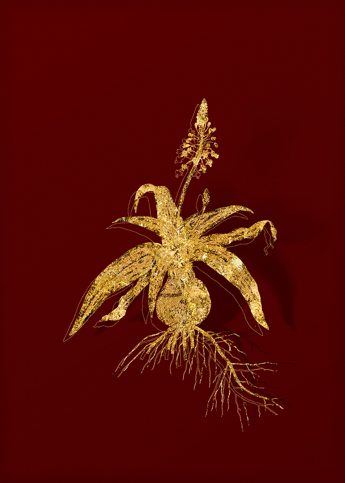Gold Botanical on Red