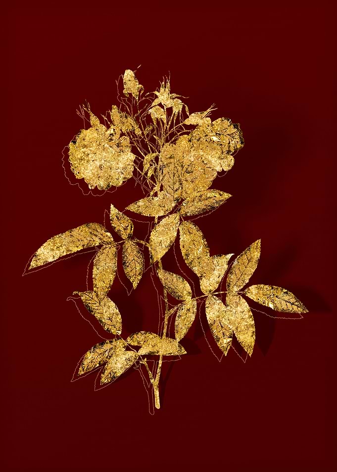 Gold Floral on Red