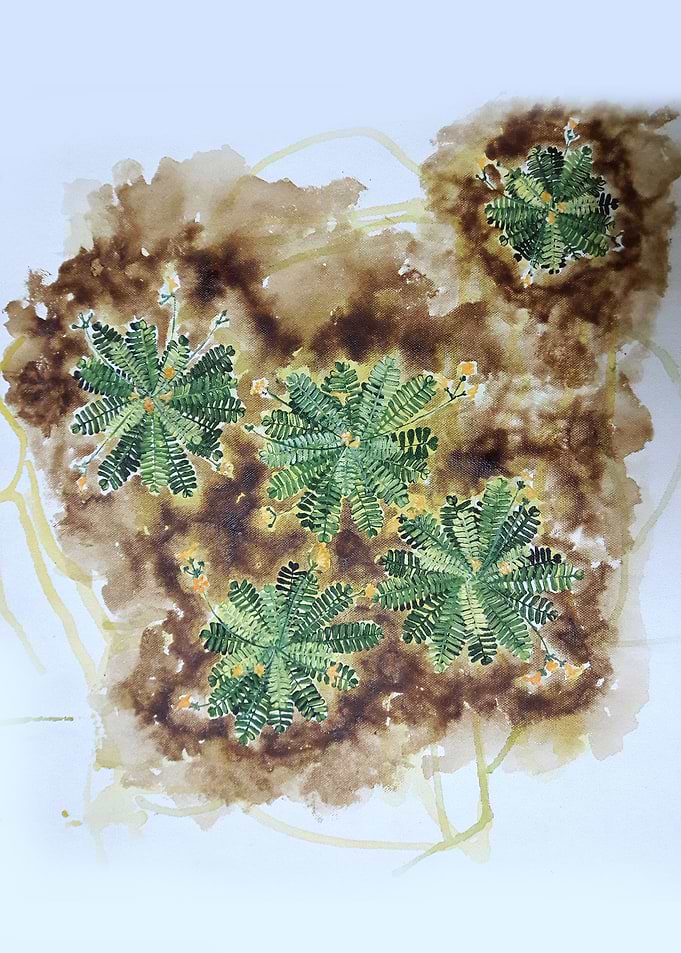 Tree Plant