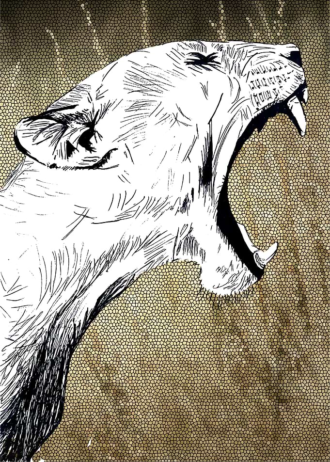 The Roar of a Cougar