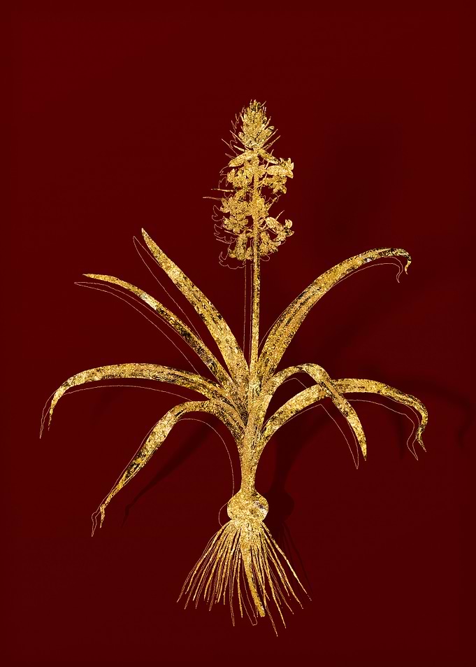 Gold Botanical on Red