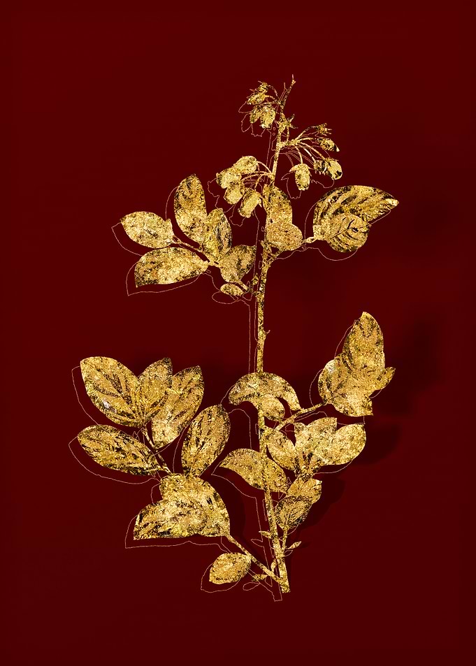 Gold Botanical on Red
