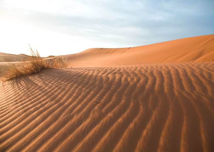 Sahara Desert Morocco