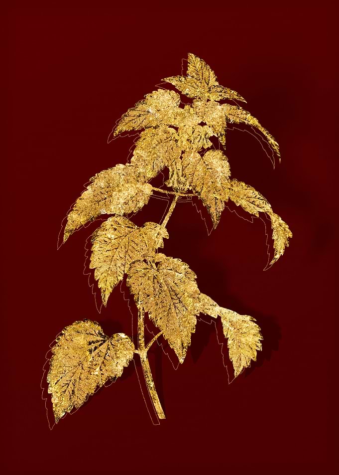 Gold Botanical on Red