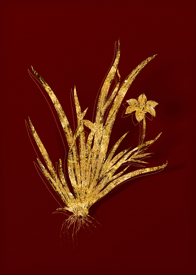 Gold Floral on Red