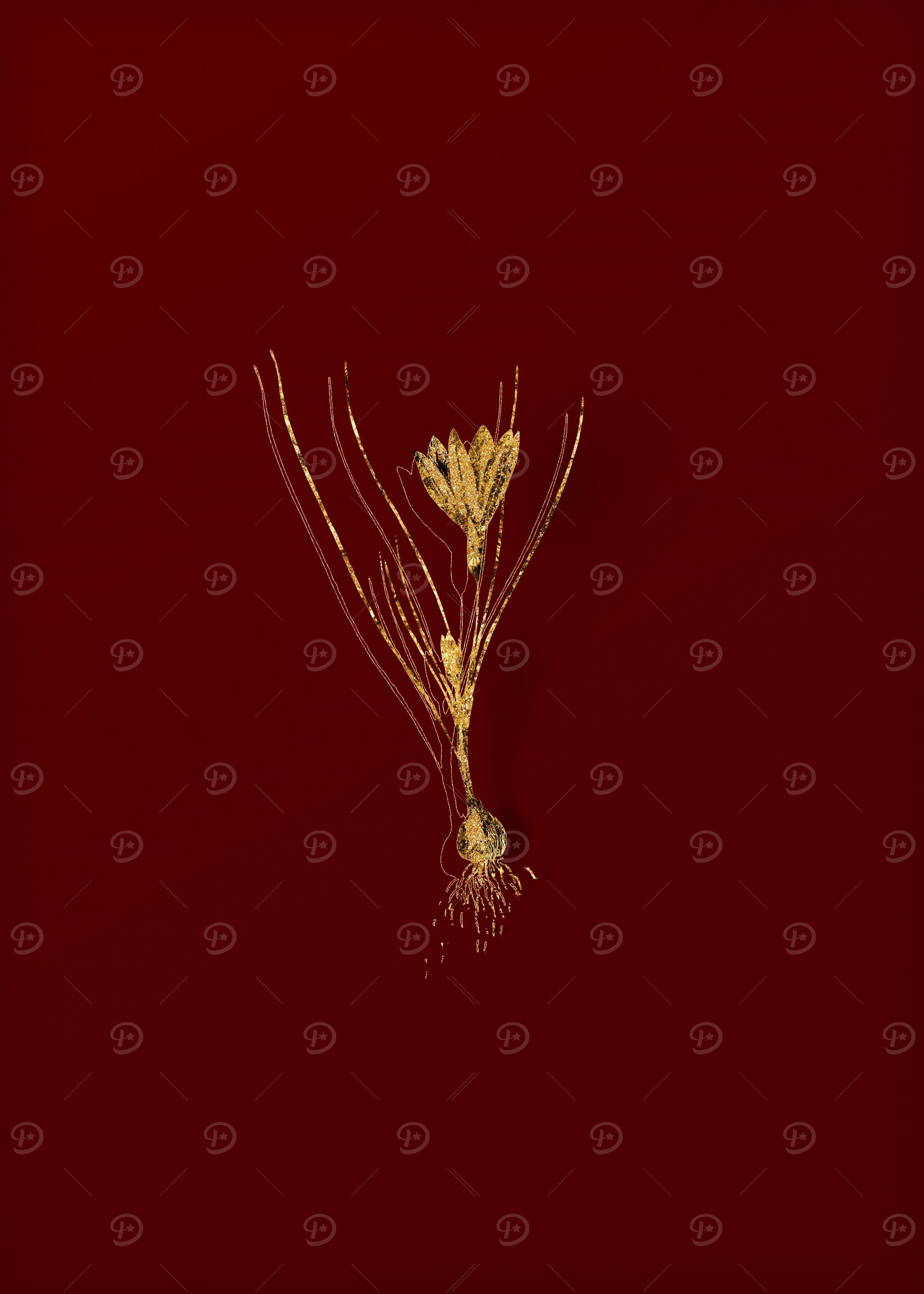 Gold Botanical on Red