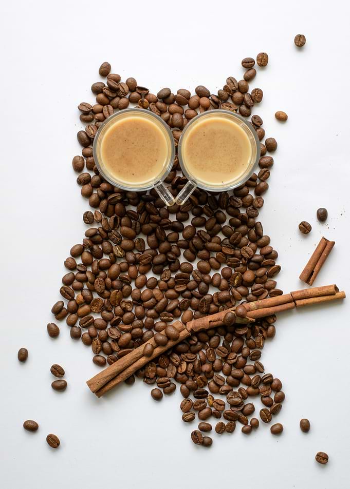 Coffee Owl