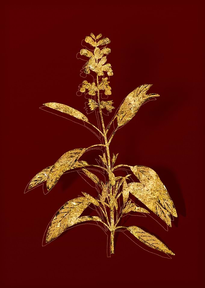 Gold Flower on Red