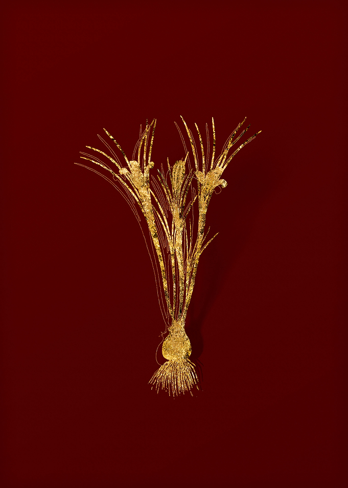 Gold Floral on Red