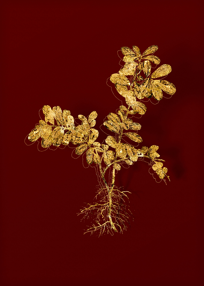 Gold Flora on Red
