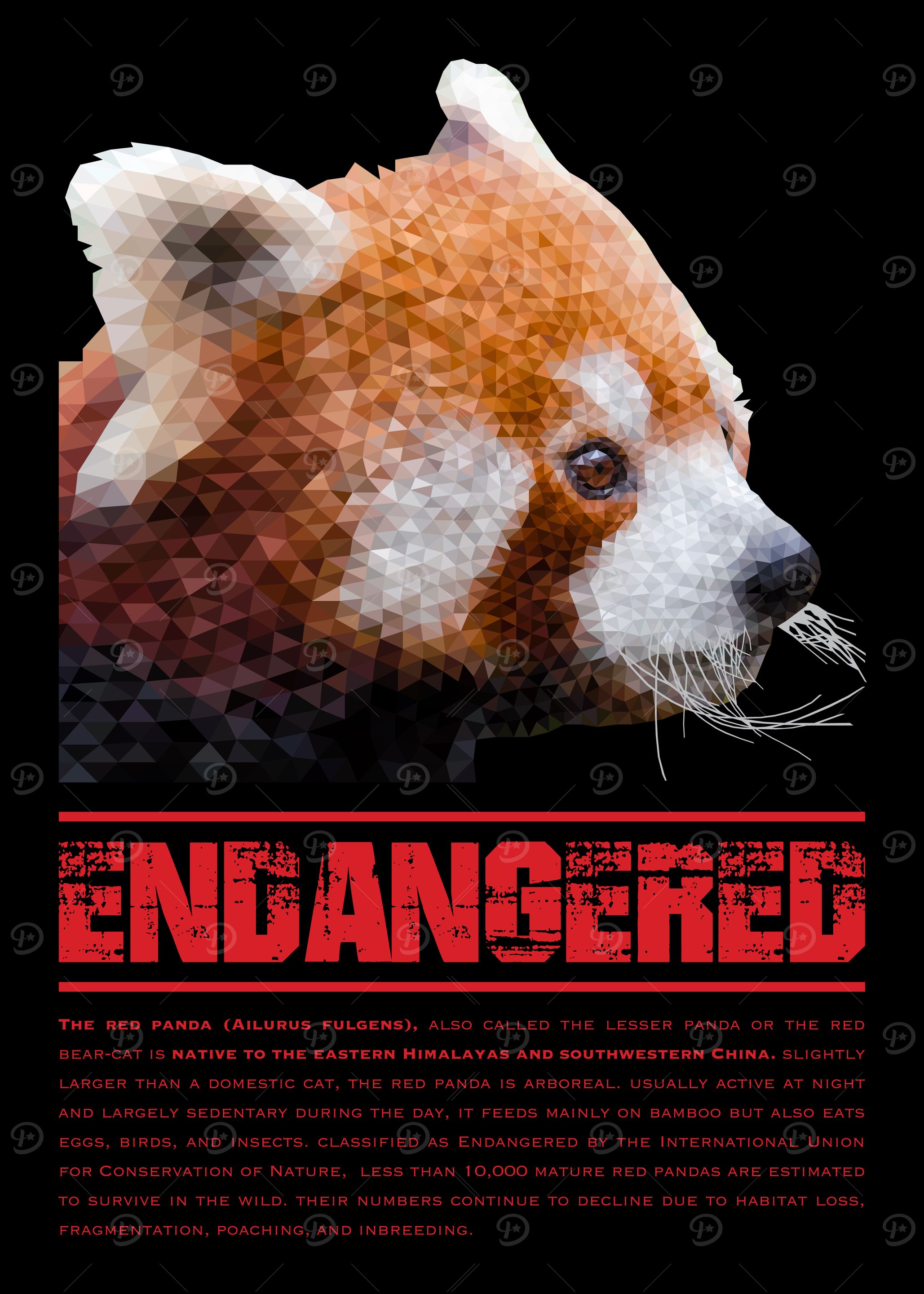 Red Panda