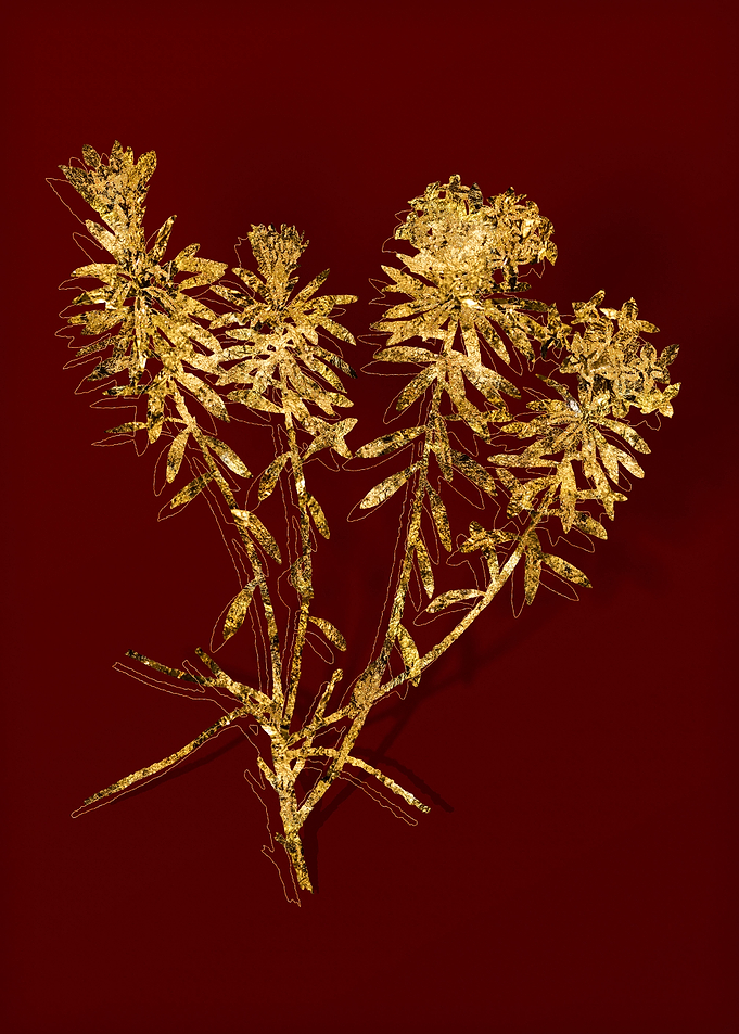 Gold Botanical on Red