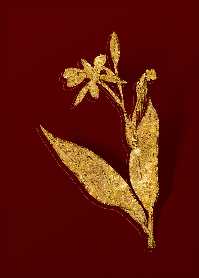 Gold Flora on Red