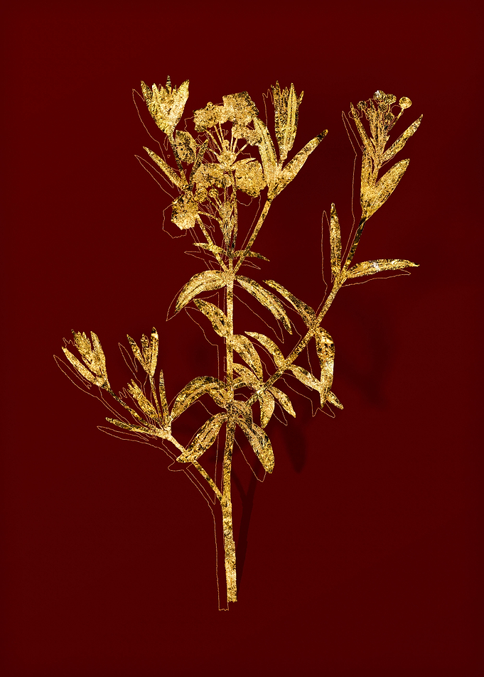Gold Botanical on Red