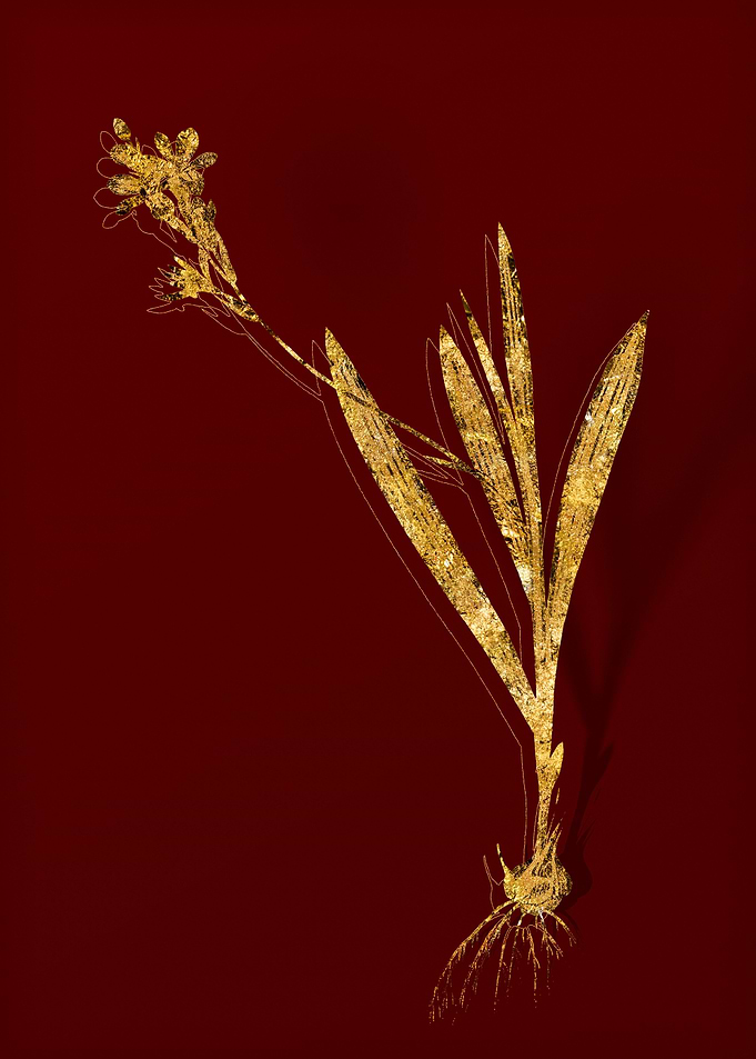 Gold Floral on Red