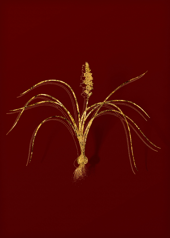 Gold Botanical on Red