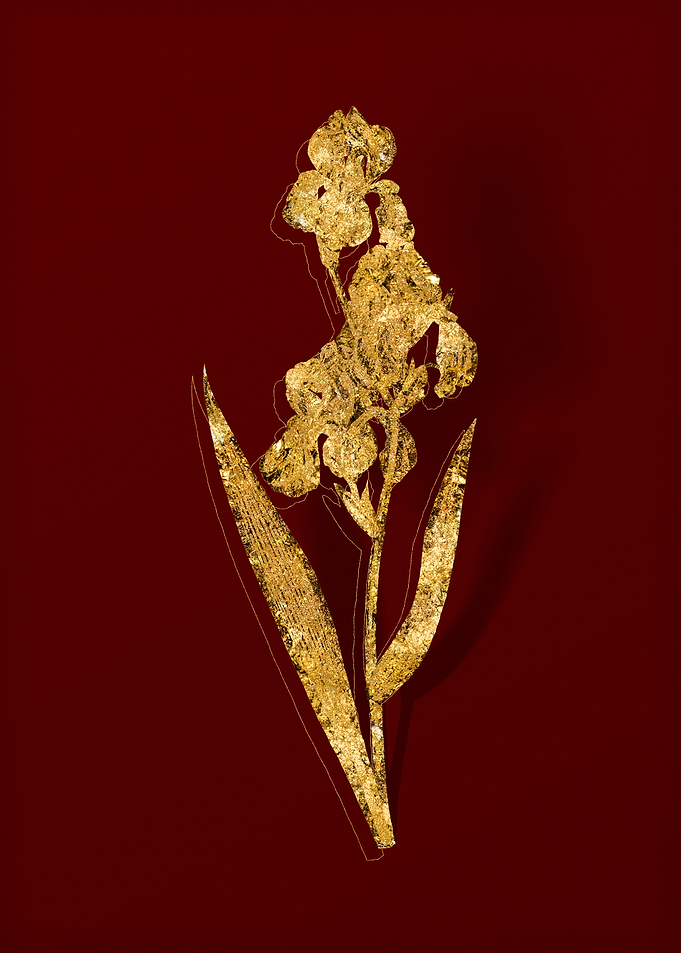 Gold Floral on Red