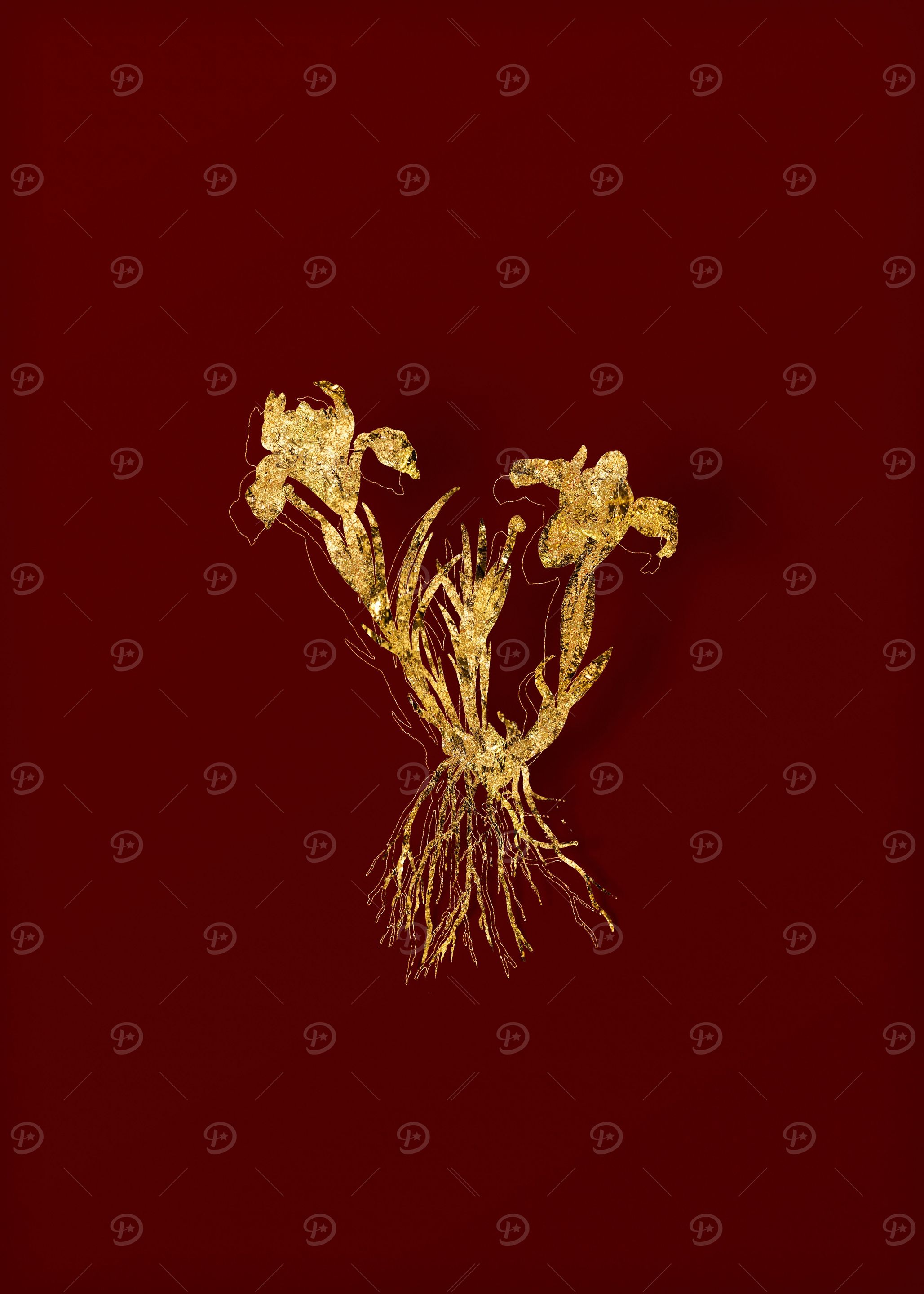 Gold Botanical on Red