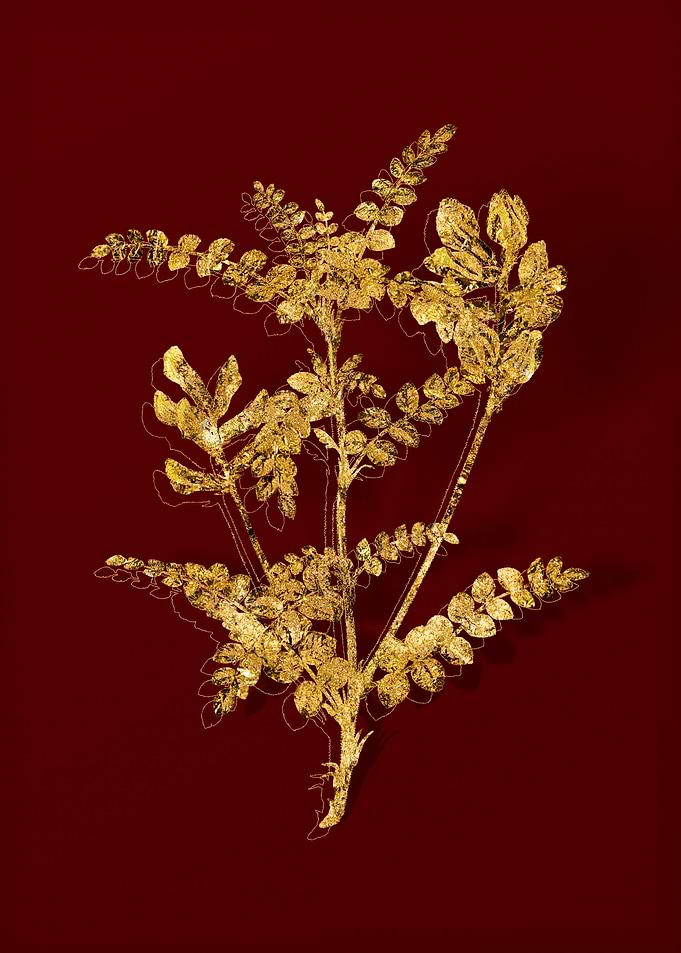 Gold Botanical on Red