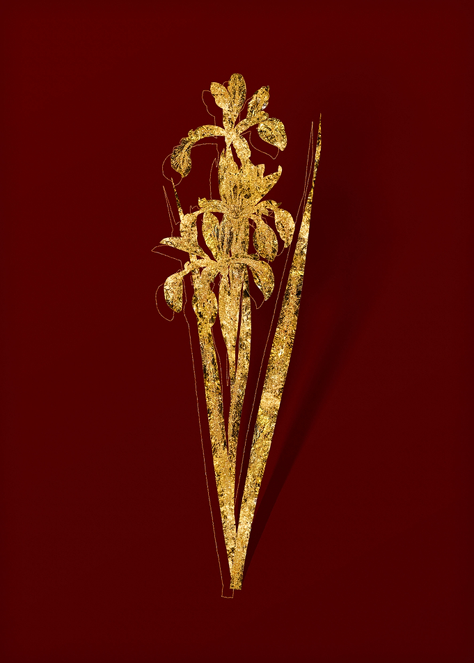 Gold Flower on Red