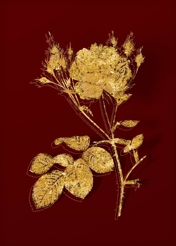 Gold Flora on Red