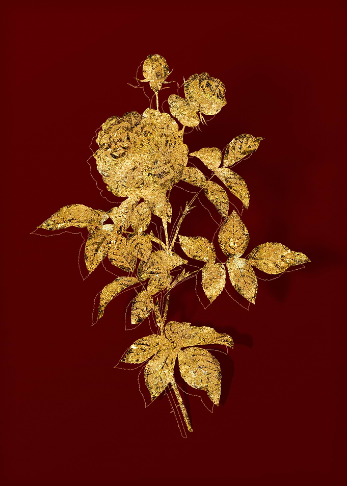 Gold Flora on Red