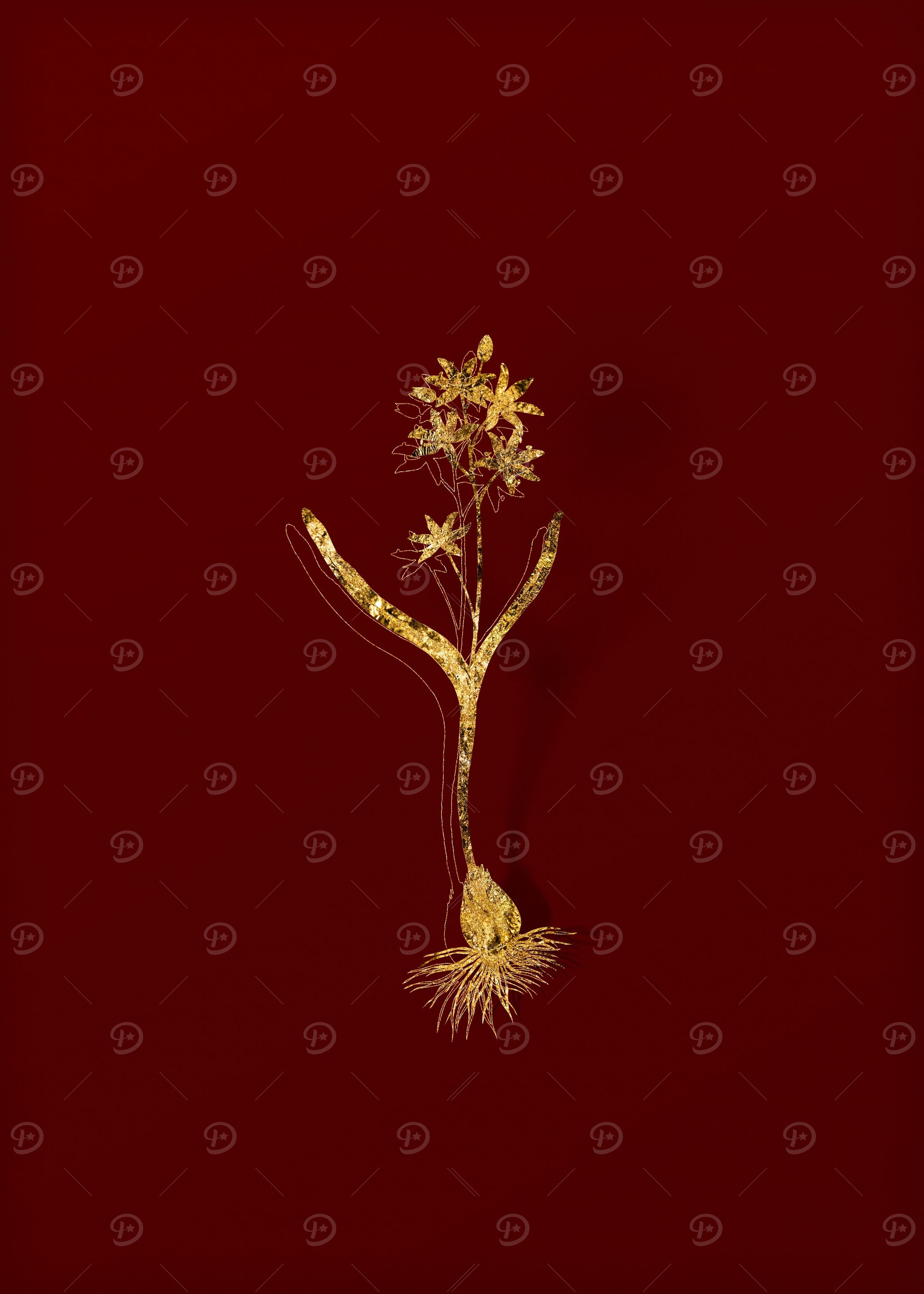Gold Flora on Red