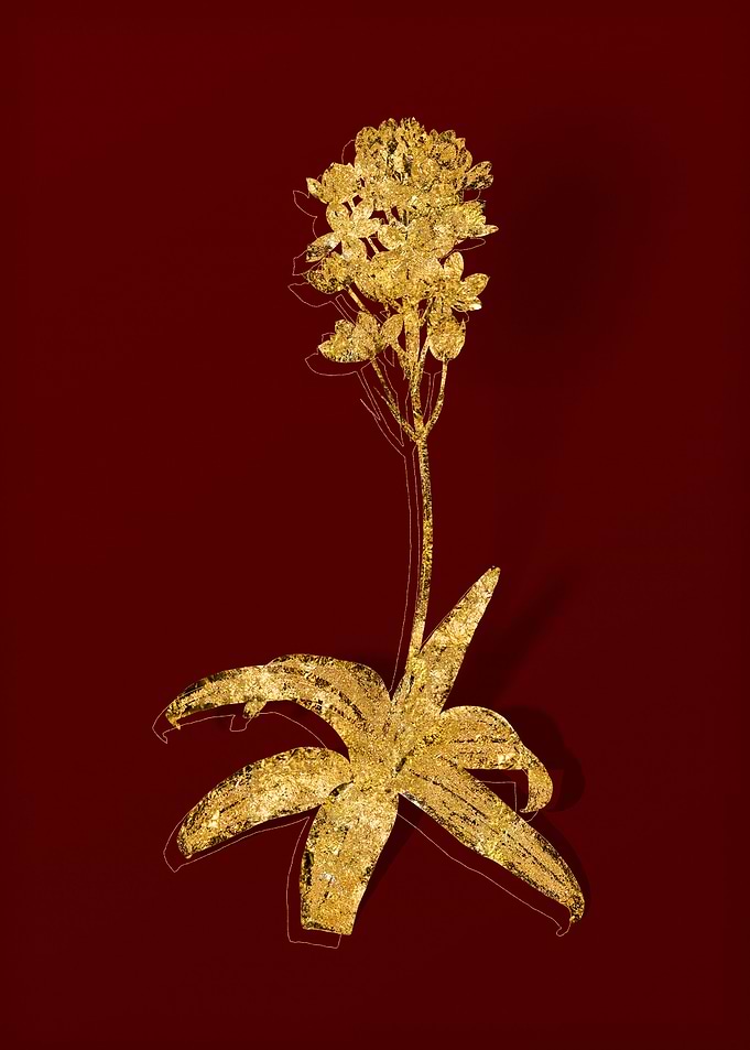 Gold Flora on Red