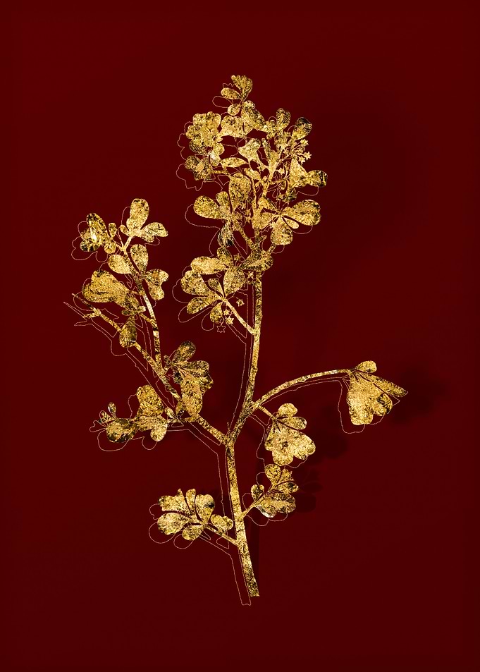 Gold Flora on Red