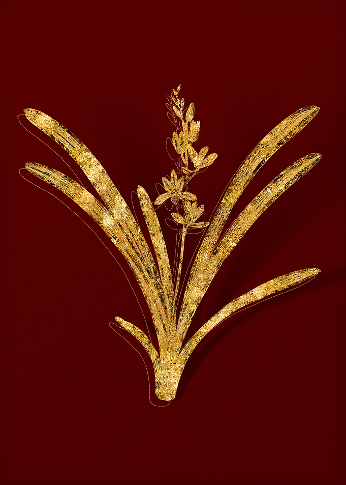Gold Flower on Red