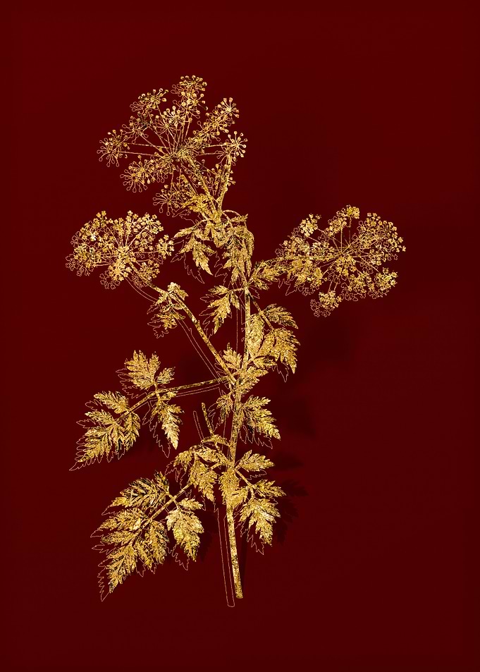 Gold Floral on Red