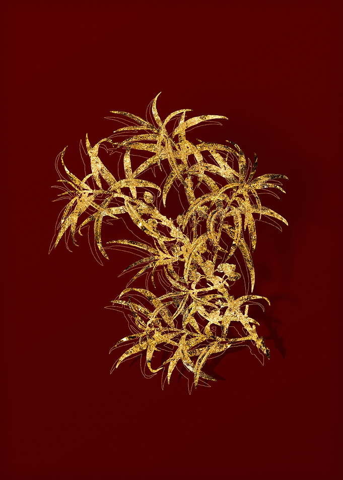 Gold Botanical on Red
