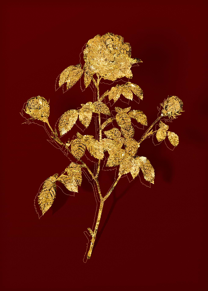 Gold Flora on Red