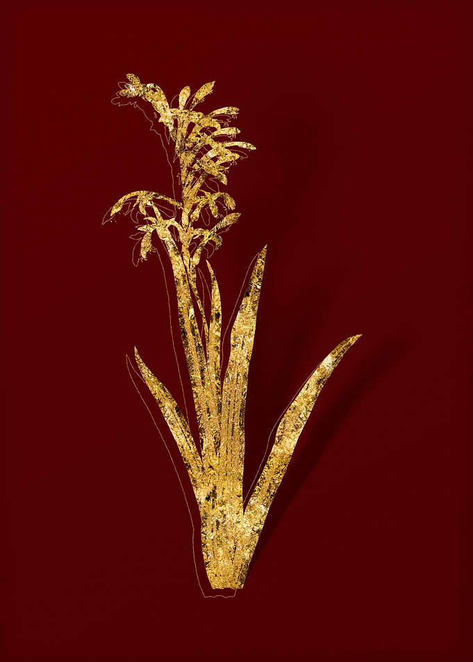 Gold Flora on Red