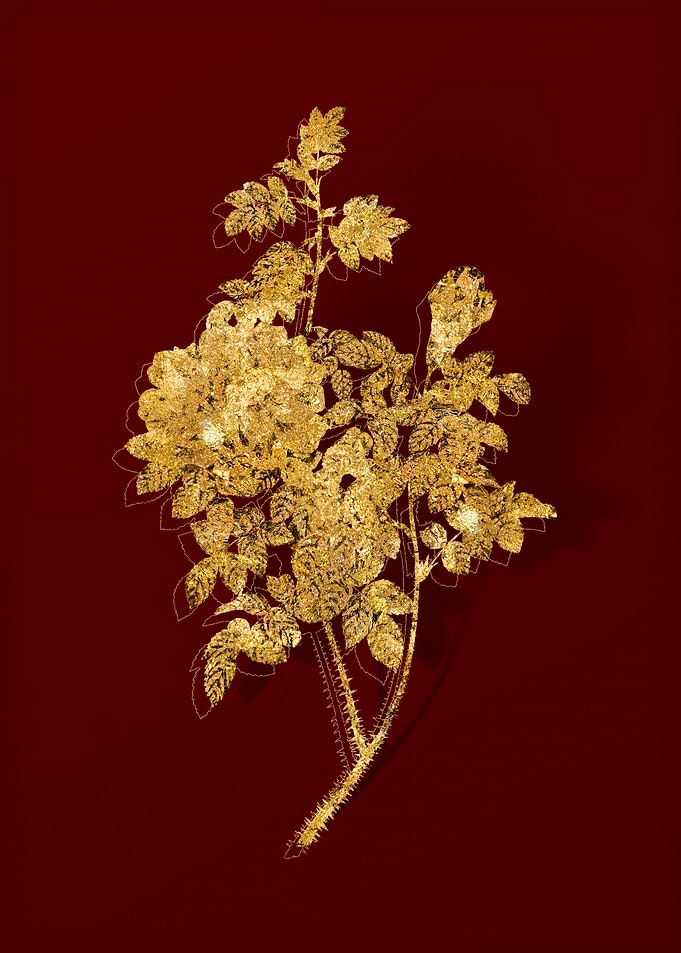Gold Flower on Red