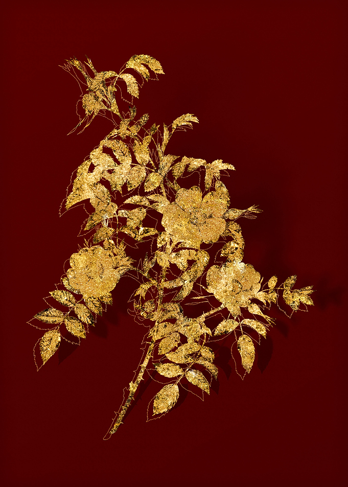 Gold Botanical on Red