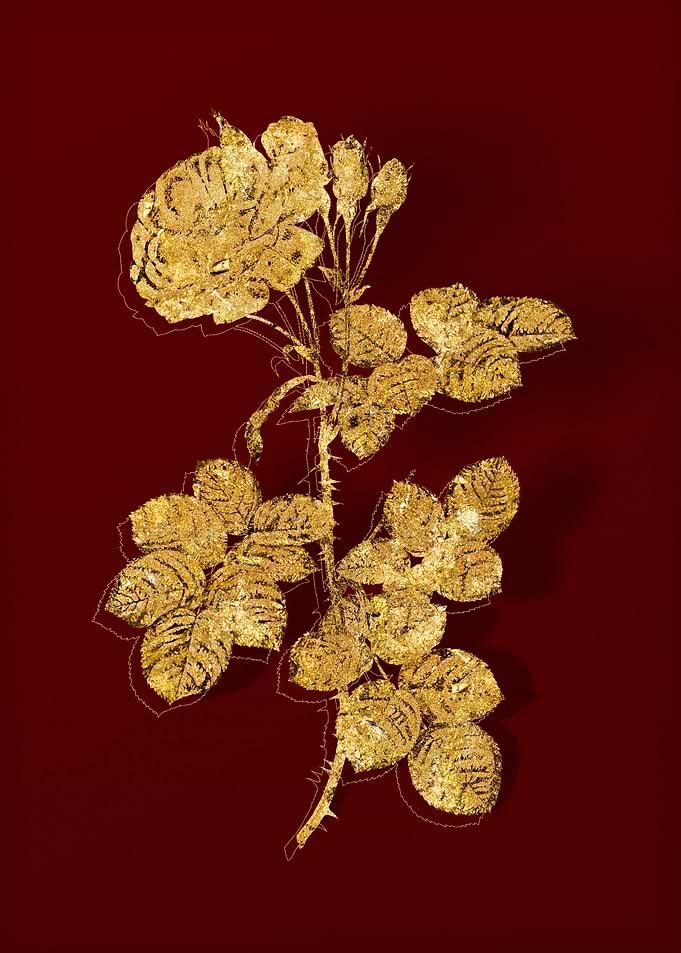 Gold Botanical on Red