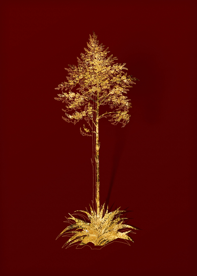 Gold Floral on Red