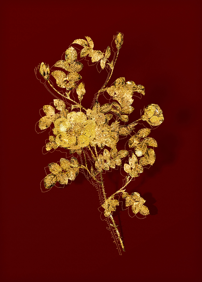 Gold Flower on Red
