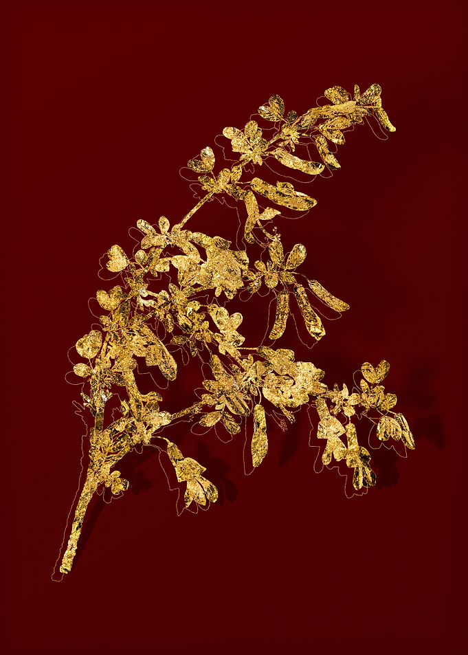 Gold Botanical on Red