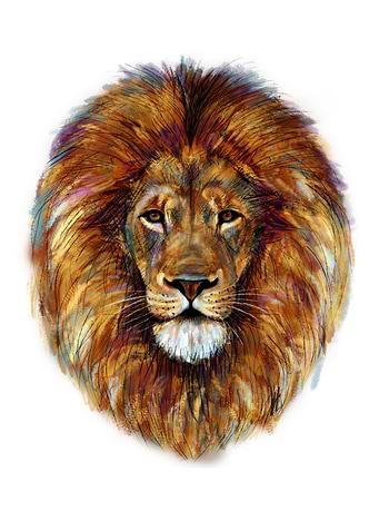 Lion head