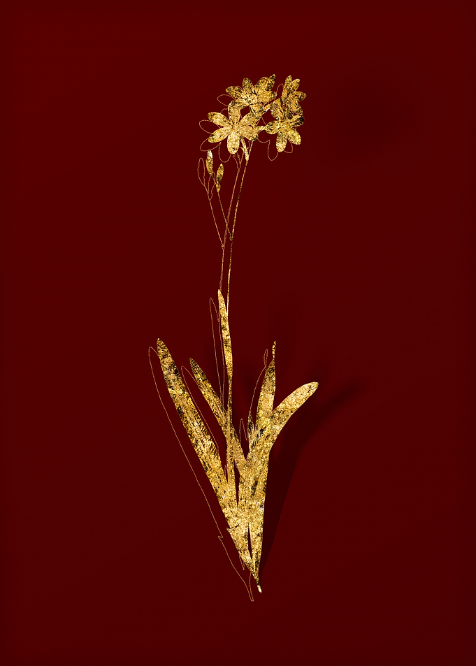 Gold Floral on Red