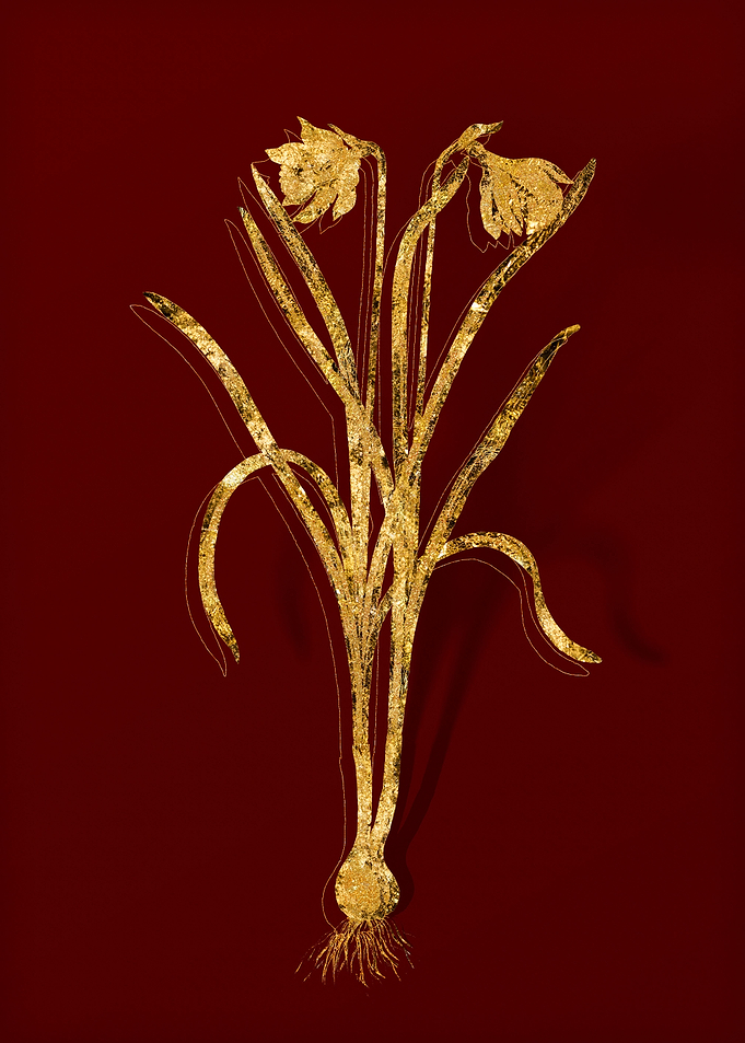 Gold Flora on Red