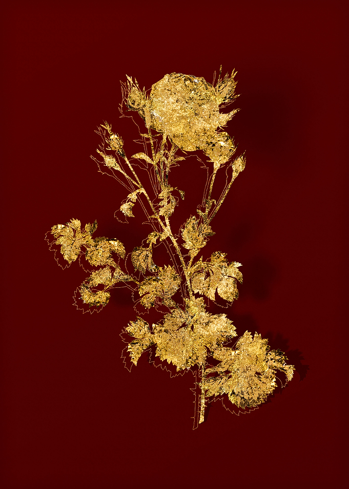 Gold Floral on Red