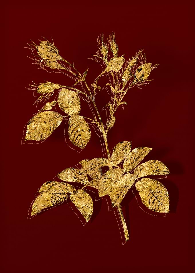 Gold Floral on Red