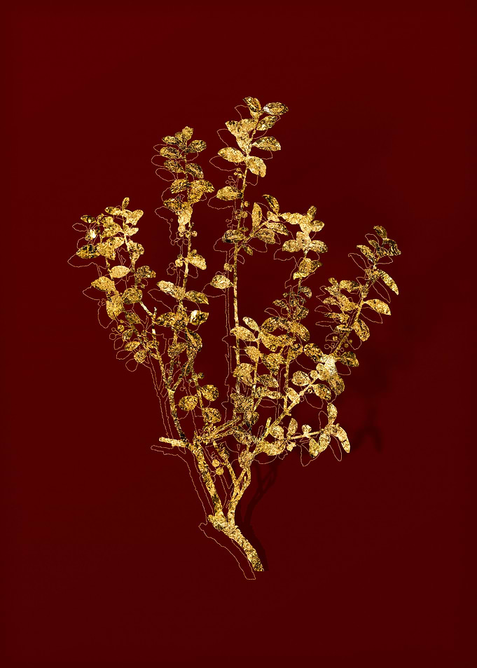 Gold Botanical on Red
