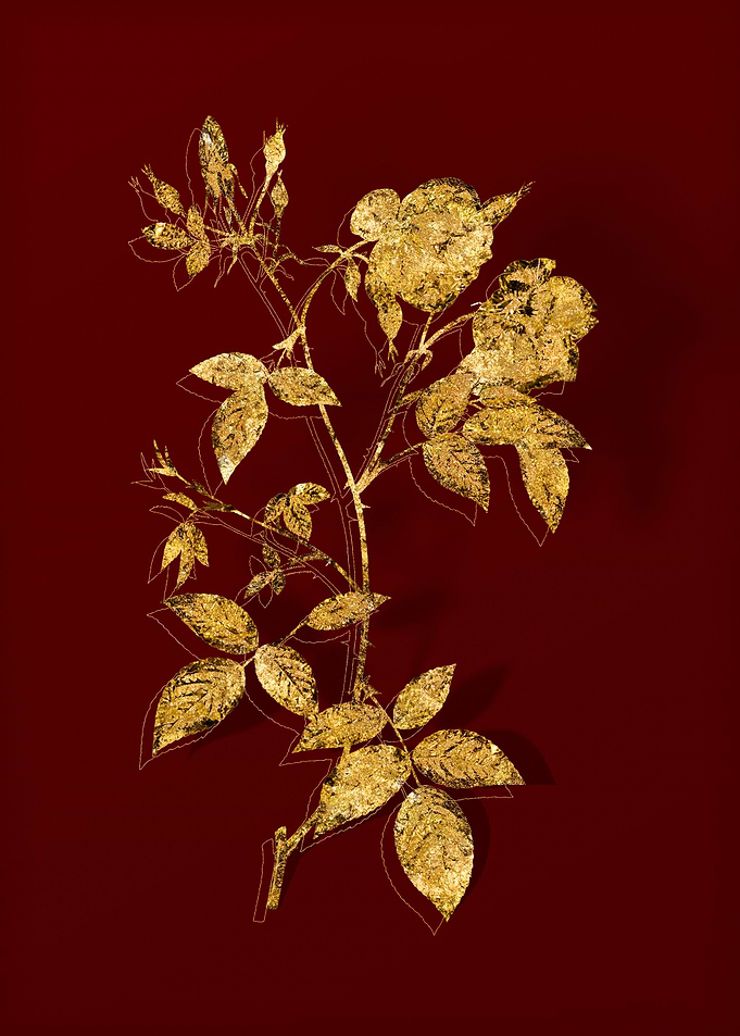Gold Botanical on Red