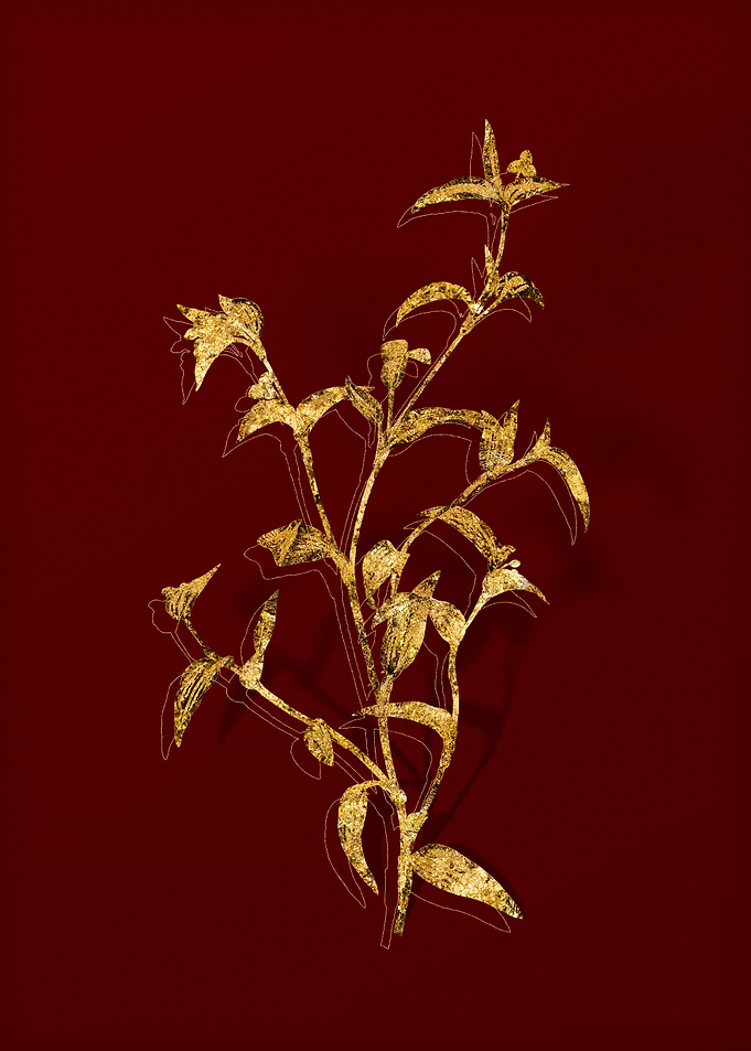 Gold Floral on Red
